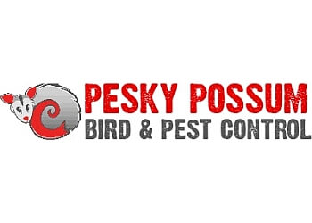 SEO for Pest Control | Pesky Possum